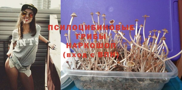 эйфоретик Кинешма